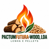 PACTUMFUTURA-WOOD, LDA - Início